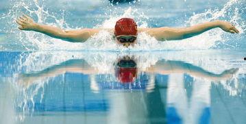 蝶泳的视频,跟随视频学蝶泳