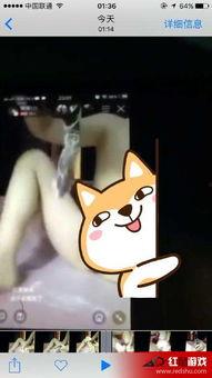 黄鳝门 视频,揭秘网络迷雾中的真相与争议