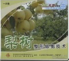 梨树管理视频