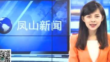 凤山新闻视频,聚焦本土发展，展现凤山风采