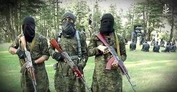 is发视频,is视频带你领略无限创意