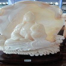 砗磲抛光视频,见证海洋珍宝的华丽蜕变