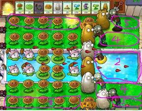 植物大战僵尸最后一关视频,挑战极限，守护家园