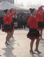 舞蹈视频鸿雁,翩翩起舞的美丽画卷