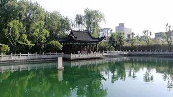 珍珠泉视频,探寻自然奇观之美