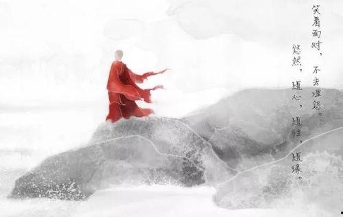 野草一生所爱视频,探寻自然与生命的和谐共鸣